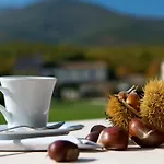 La Tenuta Dei Ciclamini 4* Avigliano Umbro