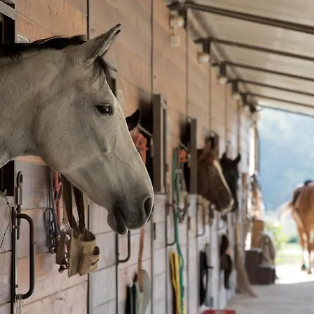 La Tenuta Dei Ciclamini 4* Avigliano Umbro