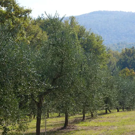 La Tenuta Dei Ciclamini