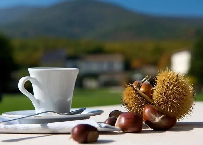 La Tenuta Dei Ciclamini 4* Avigliano Umbro