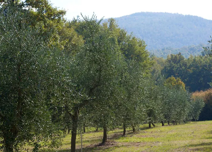 La Tenuta Dei Ciclamini